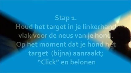clickertraining neustarget