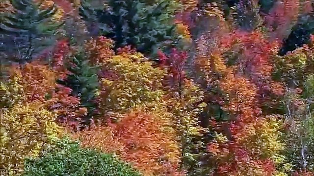 Abundant Mind Visualization For The Law Of Attraction