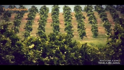 Gizemli Mısır Kraliçesi  Kleopatra  Türkçe HD Belgesel