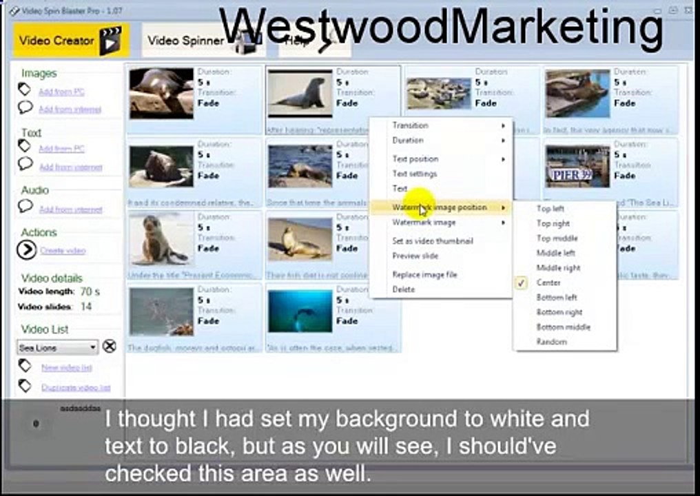 VIDEO SPIN BLASTER PRO MAKES VIDEO CREATION VERY EASY!