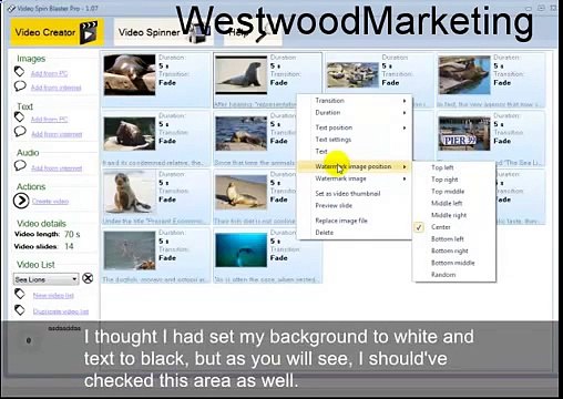 VIDEO SPIN BLASTER PRO MAKES VIDEO CREATION VERY EASY!