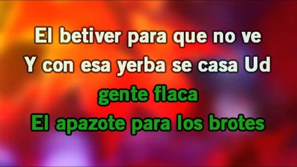 el yerberito - celia cruz - karaoke - letra