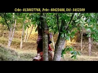 Dadai Pipala - Muna Thapa Magar