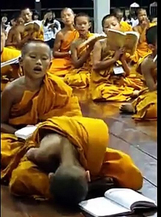 New whatsapp funny videos 2016