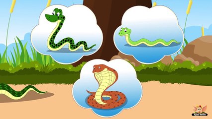 Snake Rhymes, Snake Animal Rhymes Videos for Children