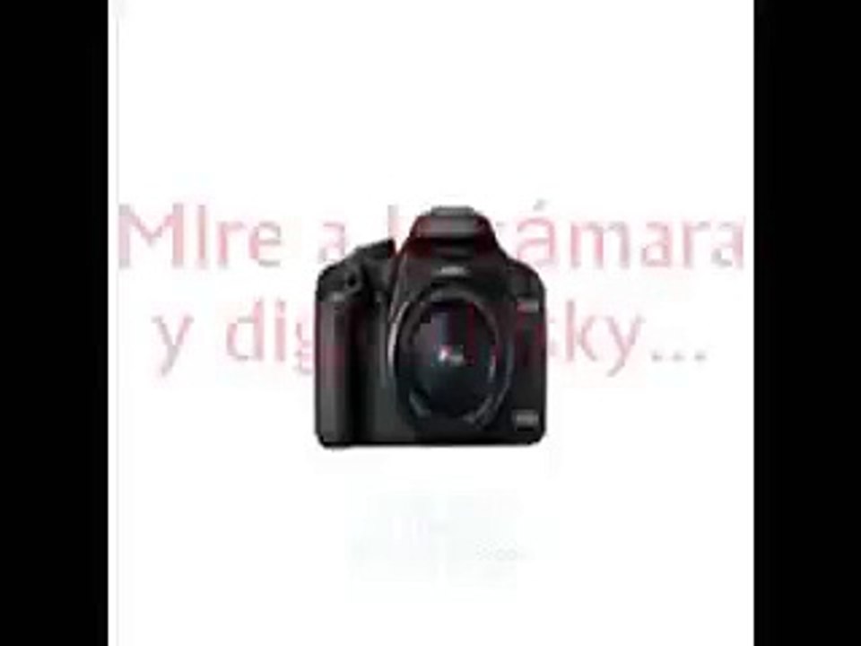 El mono que toma fotos