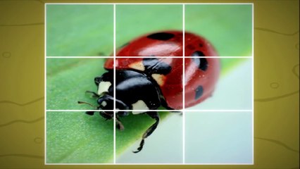 Развивающие мультфильмы для малышей Веселый Кротик, серия 10