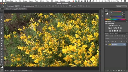 Image Resizing Techniques class 17