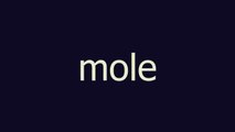 mole meaning and pronunciation
