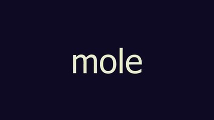 mole meaning and pronunciation