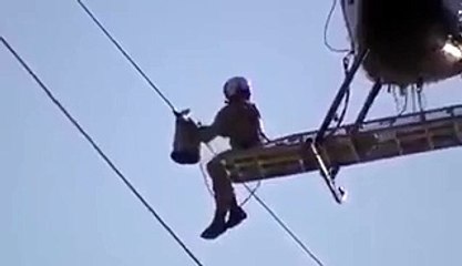 انسانیت کی اس سے بڑی مثال اور کیا ہو سکتی ہے