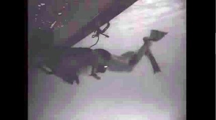 바카라전략◈WKW22。COM＆바카라프로그램♡바카라시스템베팅