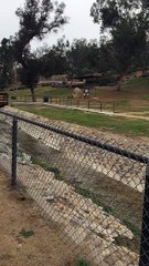 New Periscope Just Out by 9to5Not