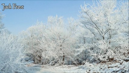 Fun Christmas Music - Jack Frost