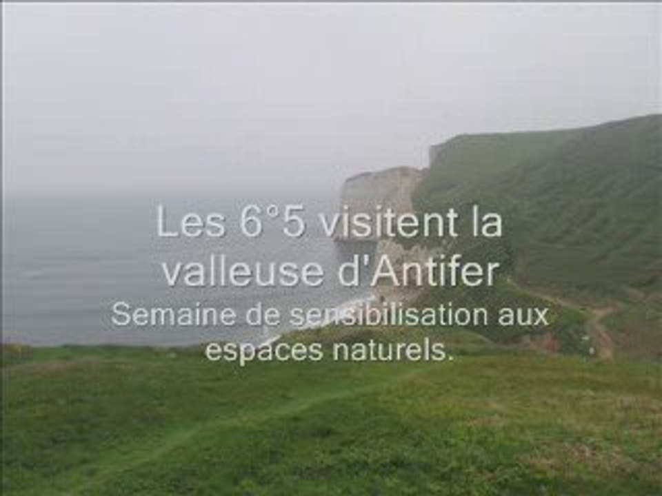 Pouillot