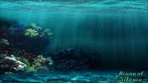 Ambient Ocean Music - Ocean of Silence