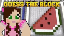 PopularMMOs PAT AND JEN Minecraft: GUESS THE PICTURE! GamingWithJen Mini-Game