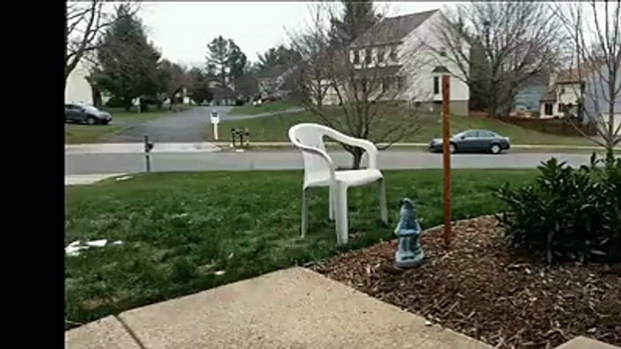 amazing funny