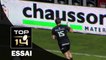 TOP 14 - Toulouse - Pau : 54-3 Essai Maxime MEDARD 1 (TLS) - J14 - Saison 2015/2016