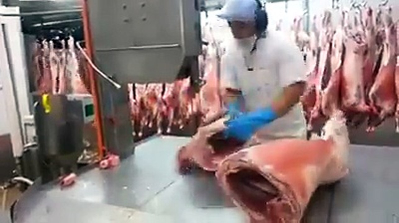 Böyle bişey daha önce izlemiş miydiniz?