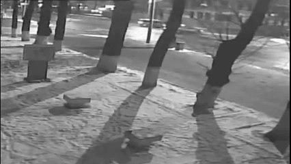 ДТП.Столкнулись автомобили «Volkswagen Caddy» s «Chevrolet»