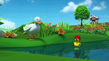 Can You See Song | Kids TV Original Nursery Rhymes And Childrens Video