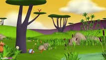 Gazoon | Roll | Funny Animals Cartoons Collection For Children by HooplaKidzTV