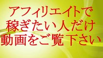 動画を放置するだけで２００万円以上稼ぐアフィリエイト手法！YOUTUBE ＆ デイリーモーション 放置型アフィリエイト２０１６