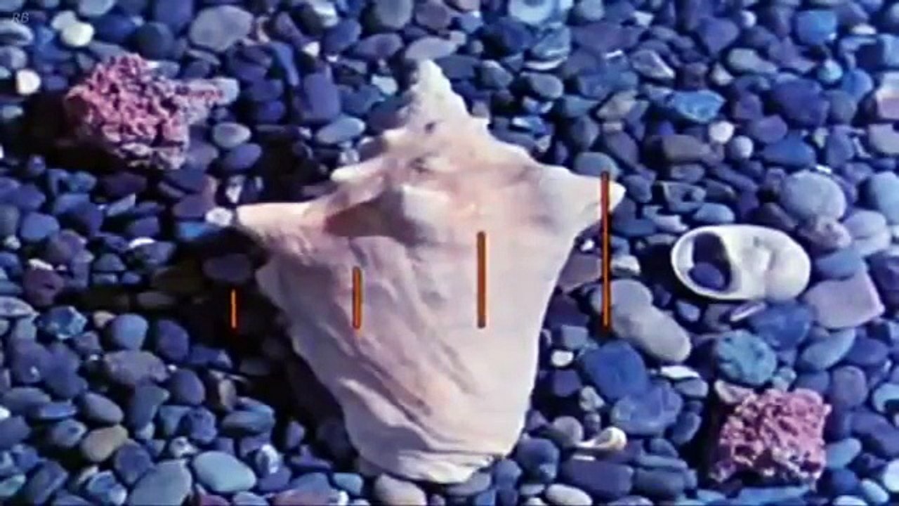 Donald Duck Donalds Better Self 1938