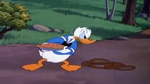 ☆☆Donald Duck Donald Duck Cartoons Lucky number pate8