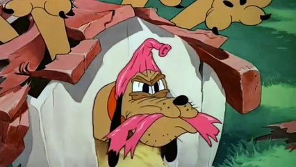 Pluto Pluto At The Zoo