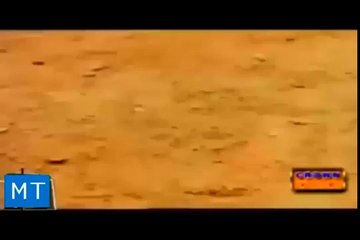 Golden Memories Of Pakistan Cricket (Great Song By Geo Super) Must Watch