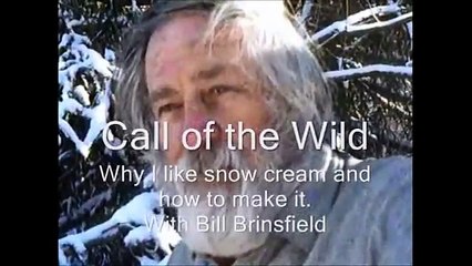 MAKE SNOW CREAM to the CALL OF THE WILD GEESE  - music  DANOSONGS.COM