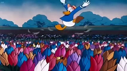 Donald Duck - Bee On Guard