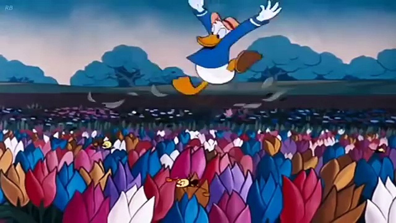 Donald Duck - Bee On Guard