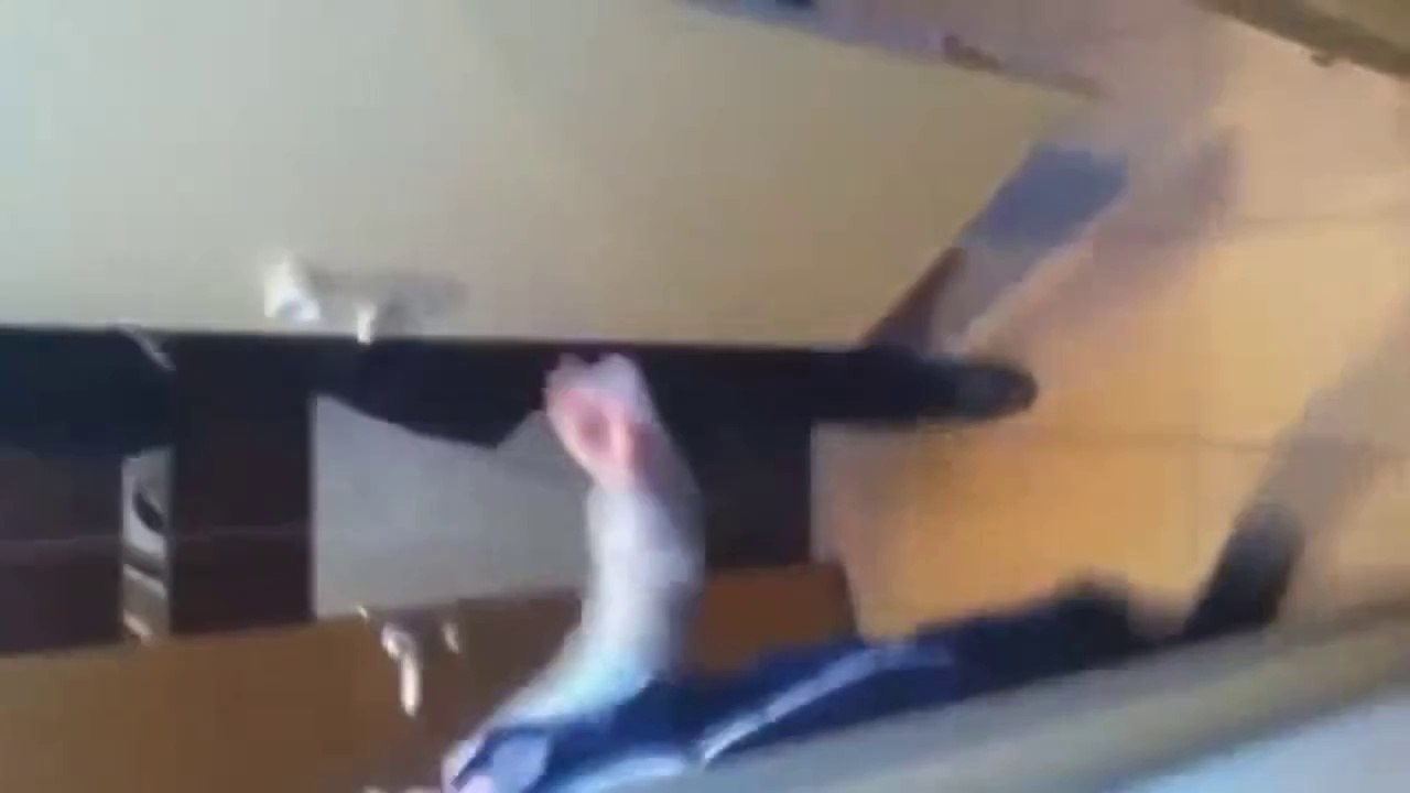 Ржачные приколы с застрявшими людьми