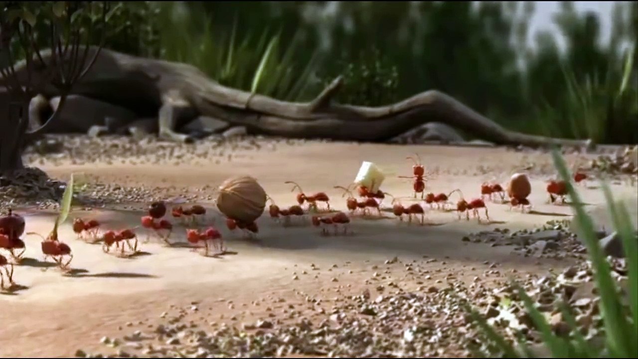 Travail d'équipe et Groupe. PUB BUS - Lijn