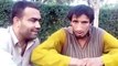 Pathan talent make bird voices - pashto funny video