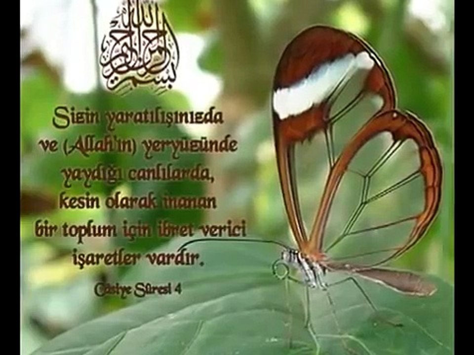 7- ESMAÜL HÜSNA SÜPER- MUSTAFA ÖZCAN GÜNESDOGDU