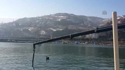 Otomobil Denize Düştü: 1 Ölü, 2 Yaralı