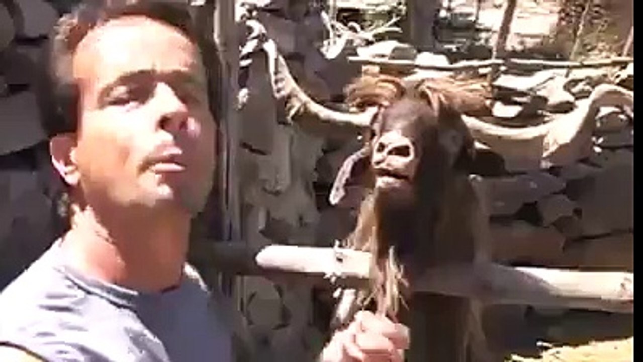 Amaizing funny