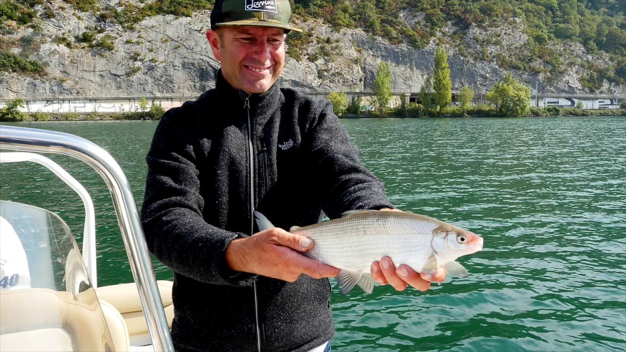 Pêche du lavaret et de l'omble Chevallier sur le lac du Bourget