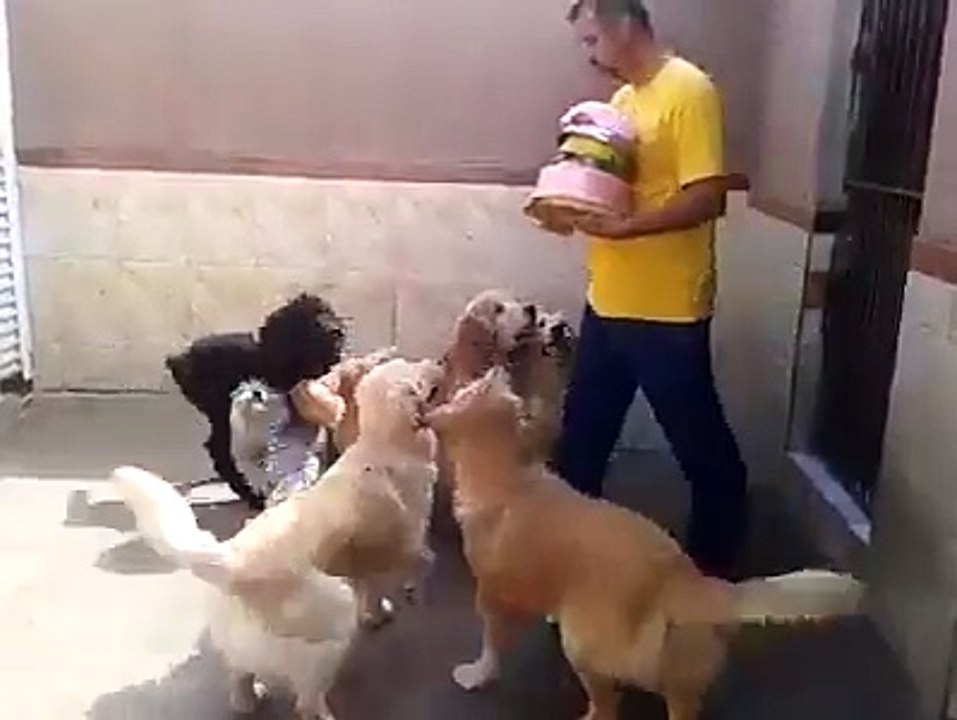 discipline