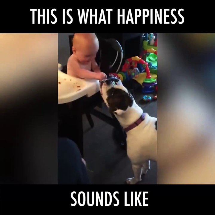happiness