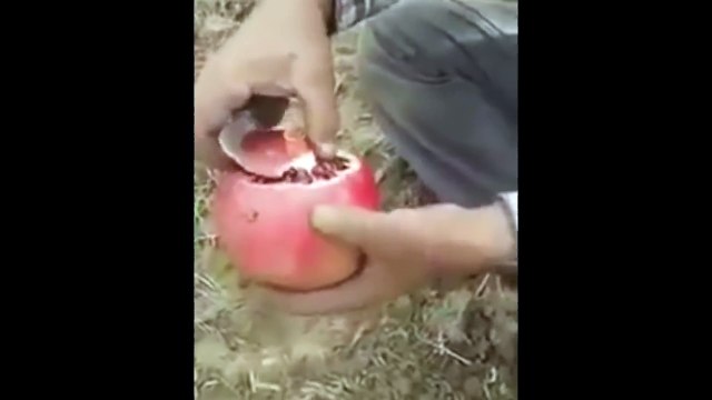 Способ быстро и красиво почистить Гранат