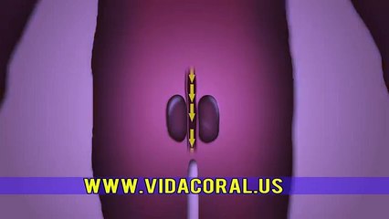 Mega Prost by Vida Coral  Promote Healthy Prostate Function