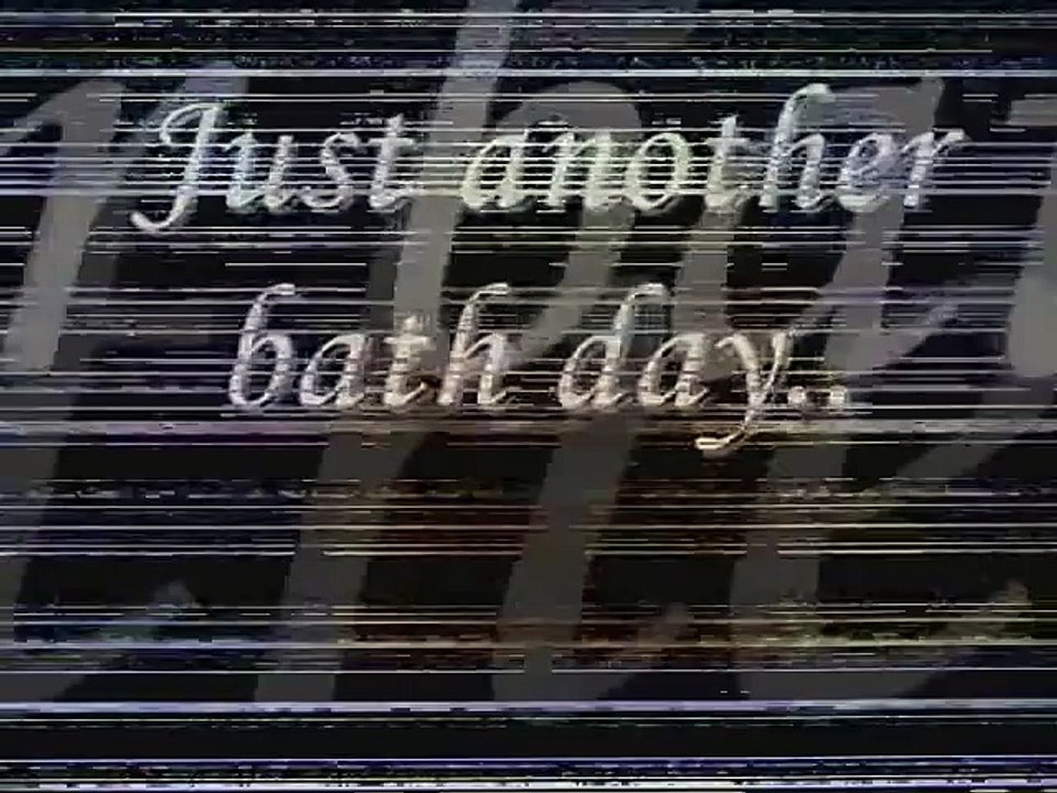 Funny, Cute Bunny Rabbit Eating Raspberries __ Sweet Funny Bunnies Rabbits __HD  _ by Every New