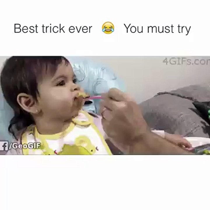 how to feed meal