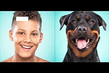 Like dogs to their owners