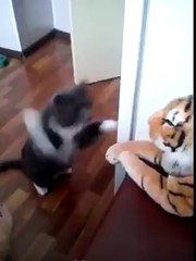 i will hit u many times untill i win